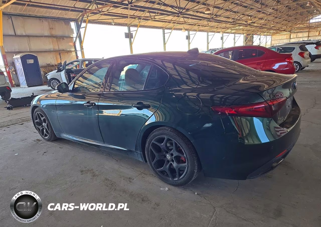 2020 Alfa Romeo Giulia VIN:ZARFAMAN8L7633517 - 2