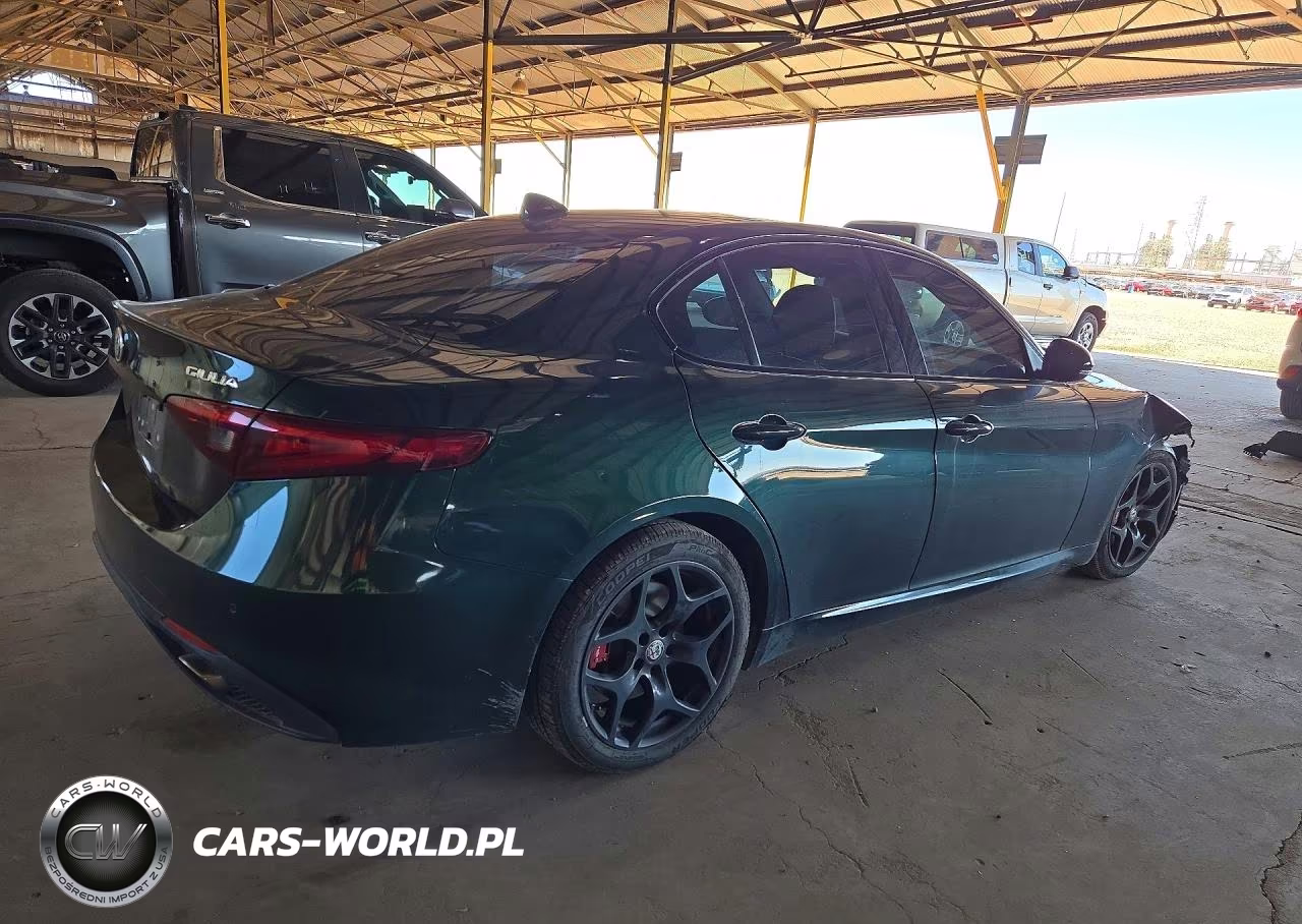 2020 Alfa Romeo Giulia VIN:ZARFAMAN8L7633517 - 3