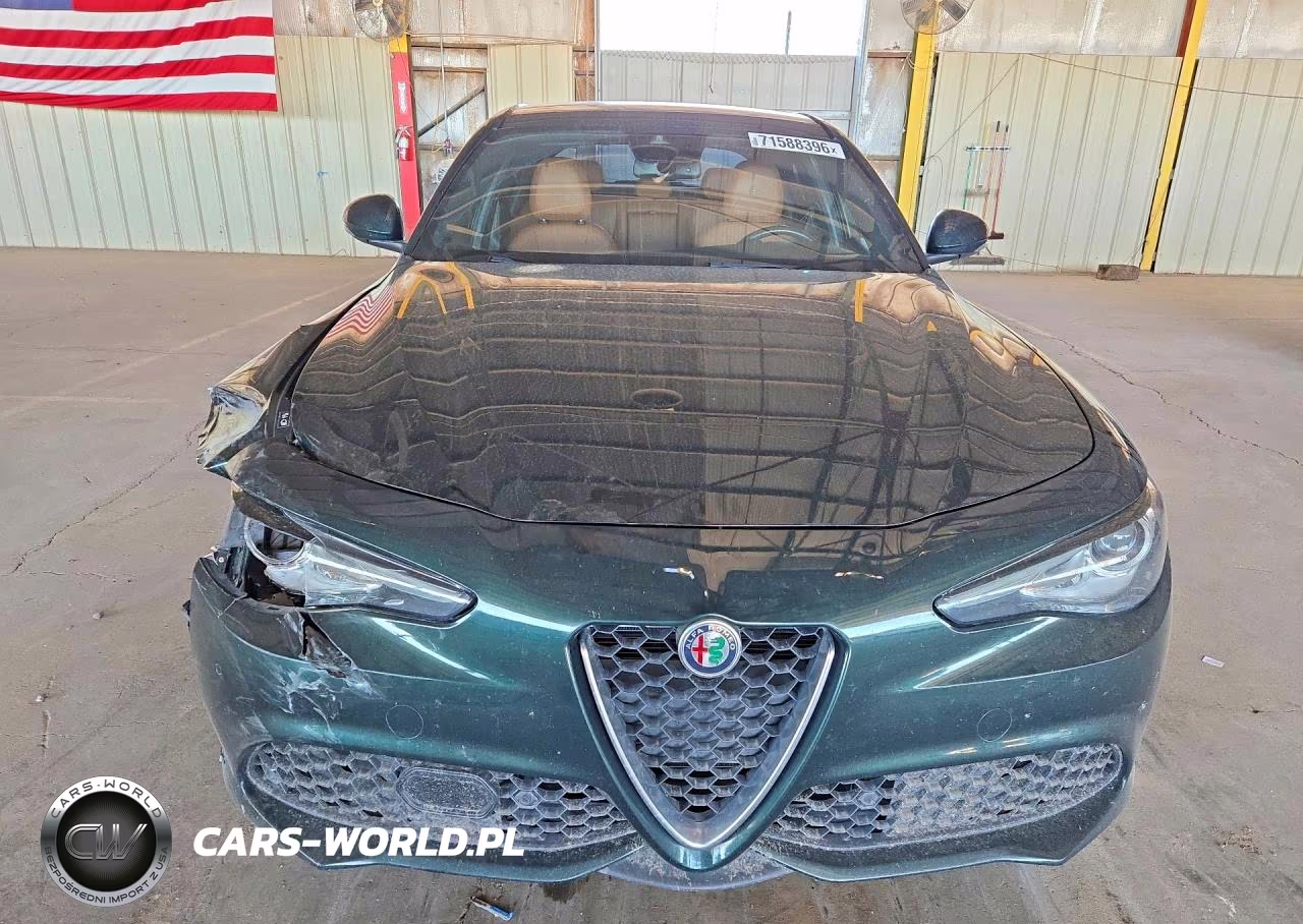 2020 Alfa Romeo Giulia VIN:ZARFAMAN8L7633517 - 5