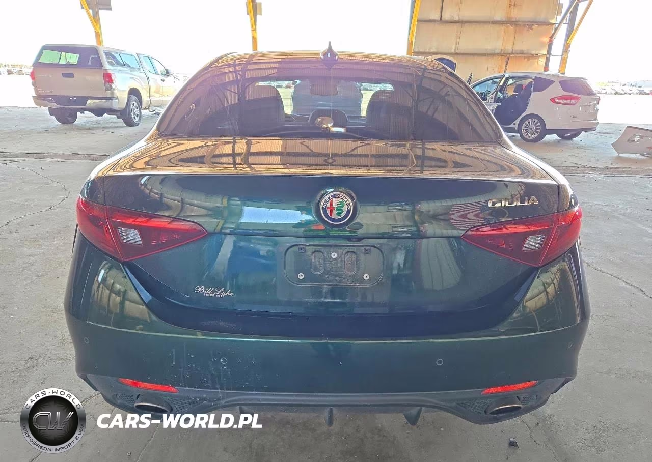 2020 Alfa Romeo Giulia VIN:ZARFAMAN8L7633517 - 6