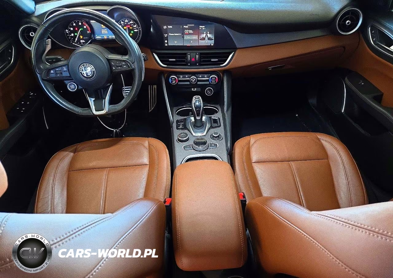 2020 Alfa Romeo Giulia VIN:ZARFAMAN8L7633517 - 8