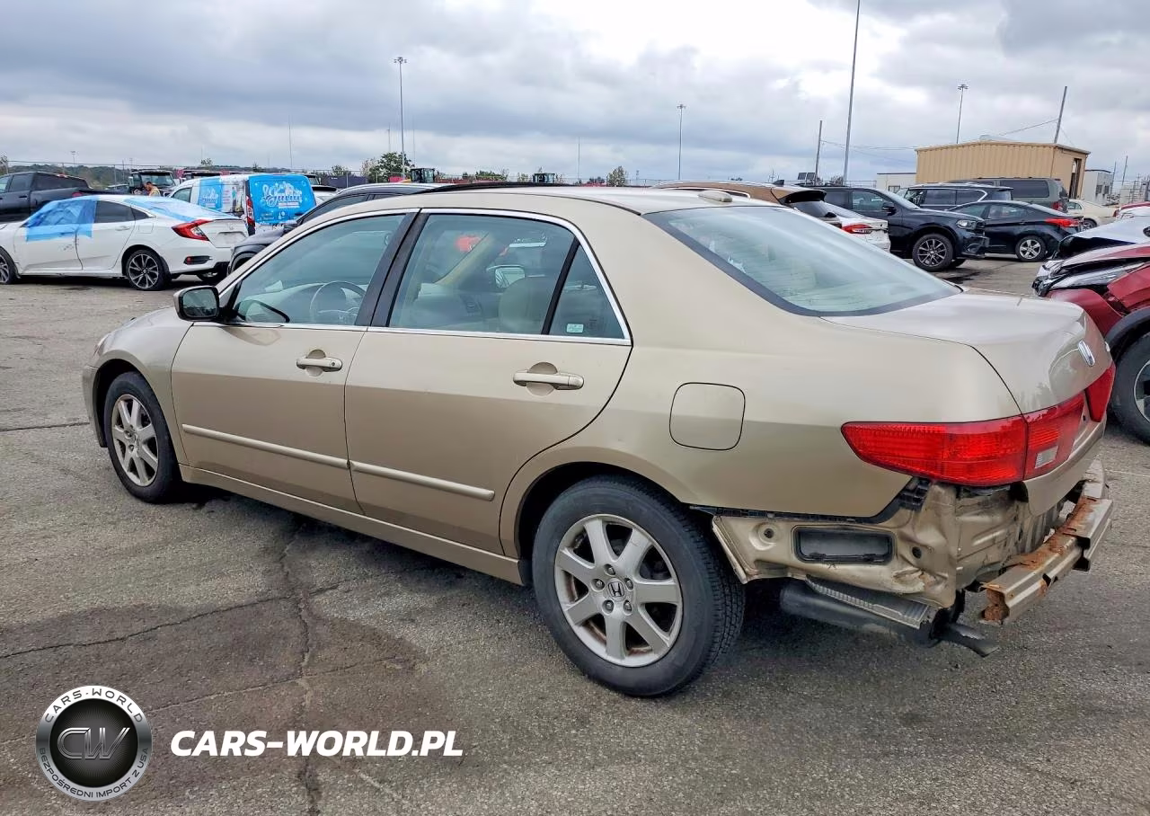 2005 Honda Accord Ex VIN:1HGCM66515A055437 - 2