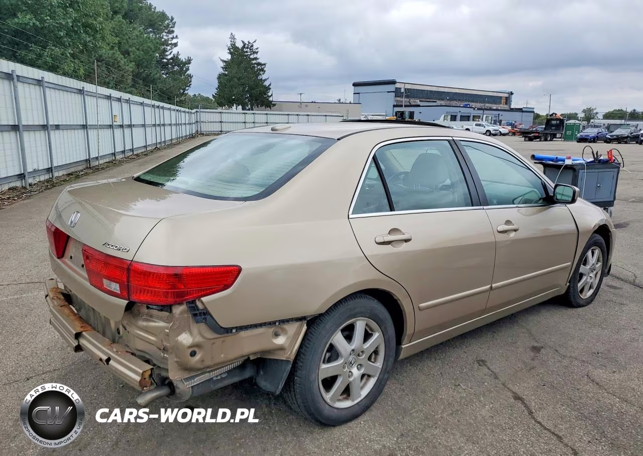 2005 Honda Accord Ex VIN:1HGCM66515A055437 - 3