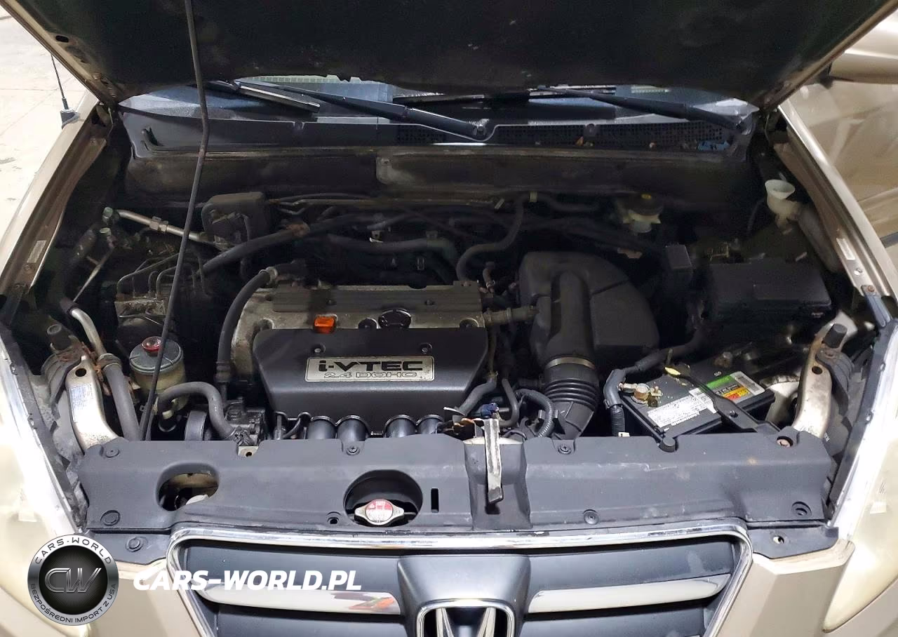 2006 Honda Cr-V Se VIN:JHLRD78996C006106 - 12