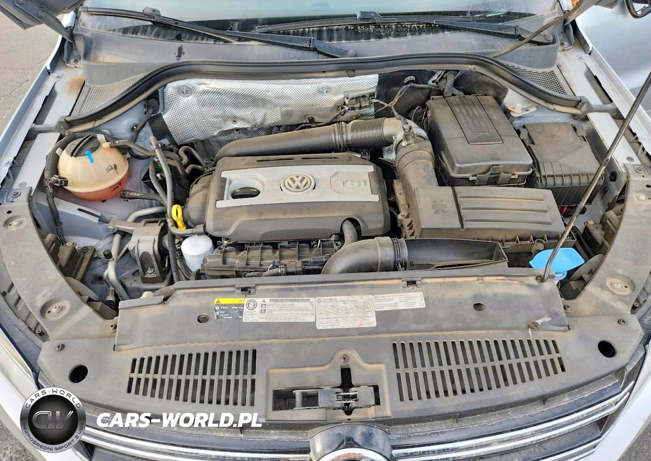 2014 Volkswagen Tiguan S VIN:WVGAV3AX4EW585166 - 12