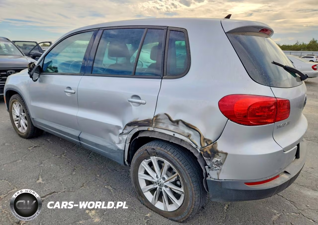2014 Volkswagen Tiguan S VIN:WVGAV3AX4EW585166 - 2