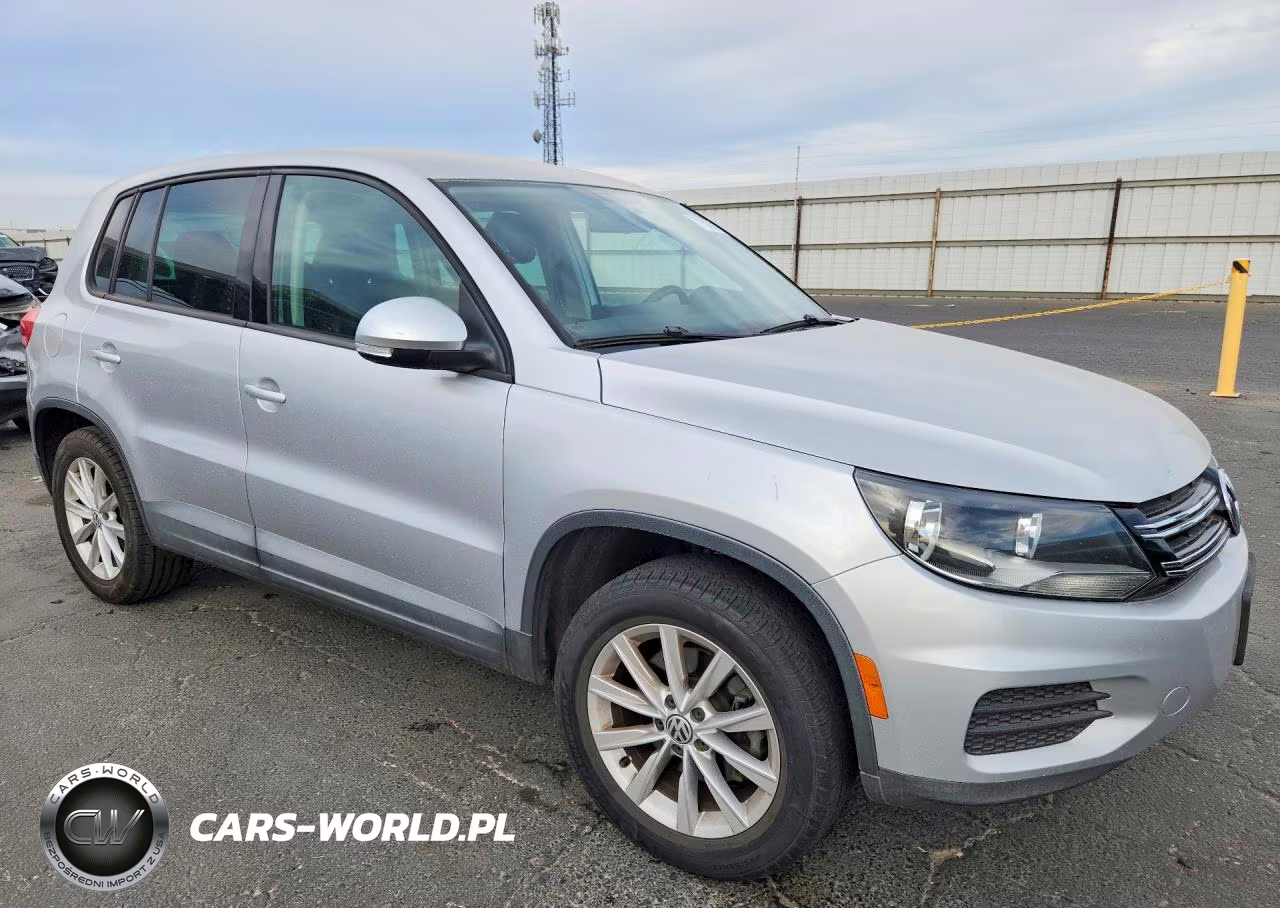 2014 Volkswagen Tiguan S VIN:WVGAV3AX4EW585166 - 4