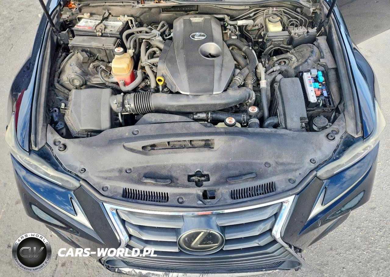 2018 Lexus Is 300 VIN:JTHBA1D2XJ5063262 - 11