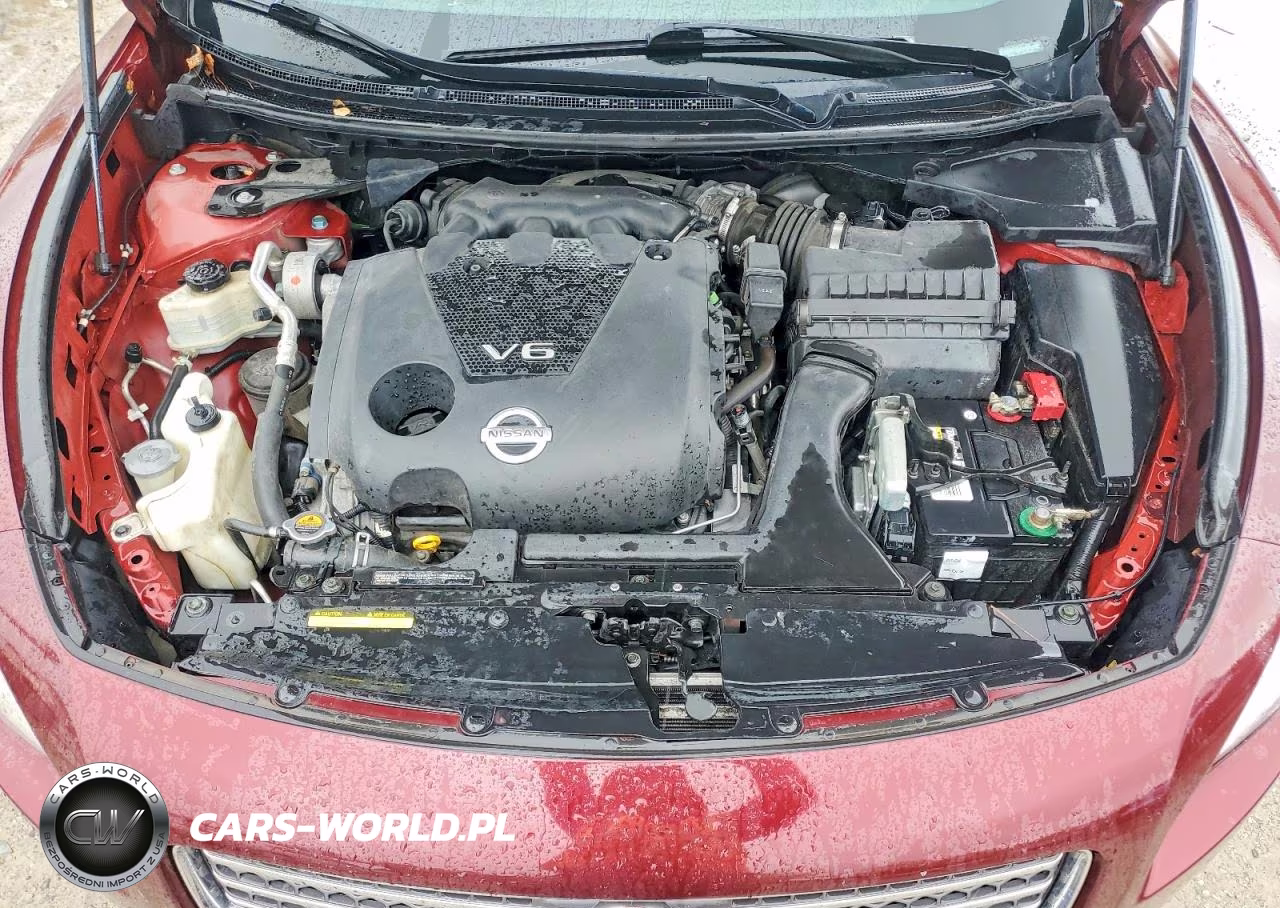 2009 Nissan Maxima 3.5 S VIN:1N4AA51E49C845489 - 11