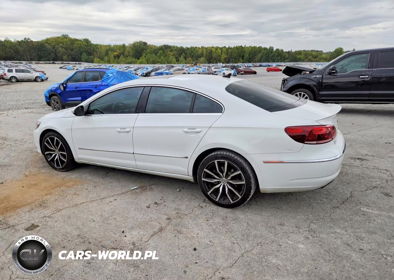 2015 Volkswagen Cc Executive VIN:WVWRN7AN4FE825336 - 2