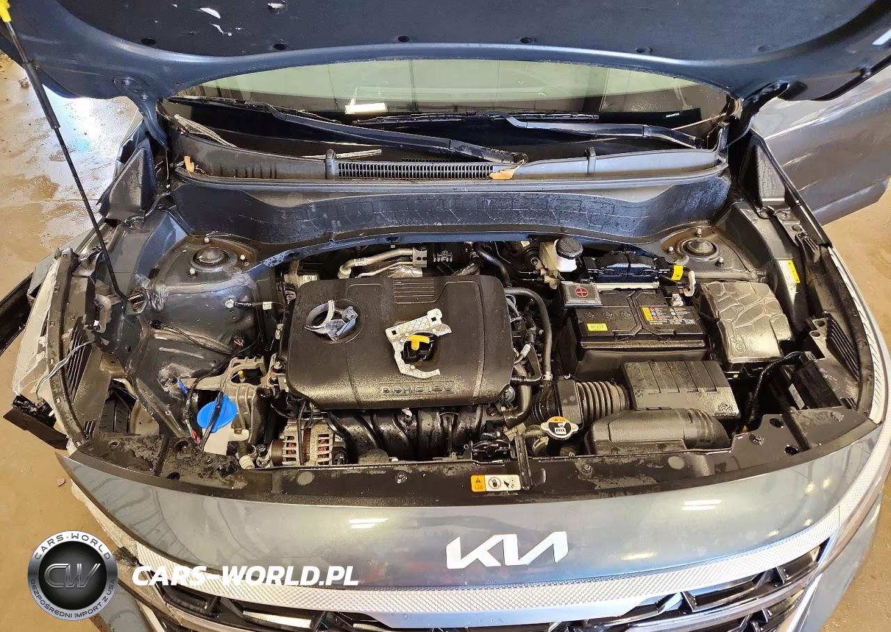 2024 Kia Seltos S VIN:KNDEUCAA9R7537313 - 12