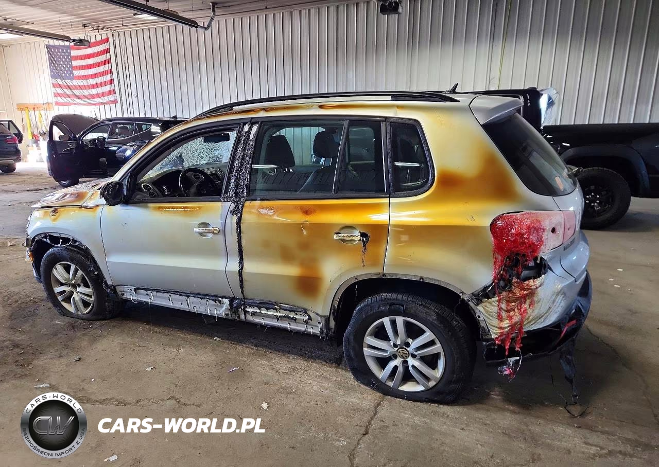 2016 Volkswagen Tiguan S VIN:WVGBV7AX9GW005795 - 2