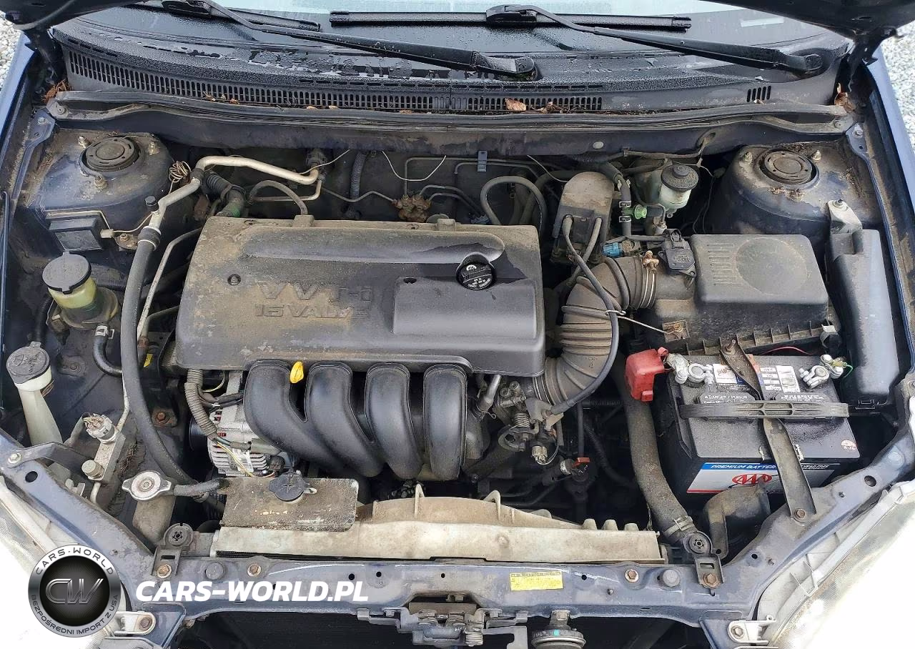 2003 Toyota Corolla Le VIN:1NXBR32E53Z003767 - 11
