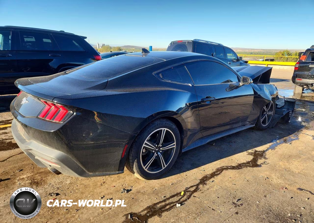 2024 Ford Mustang VIN:1FA6P8TH7R5108062 - 3