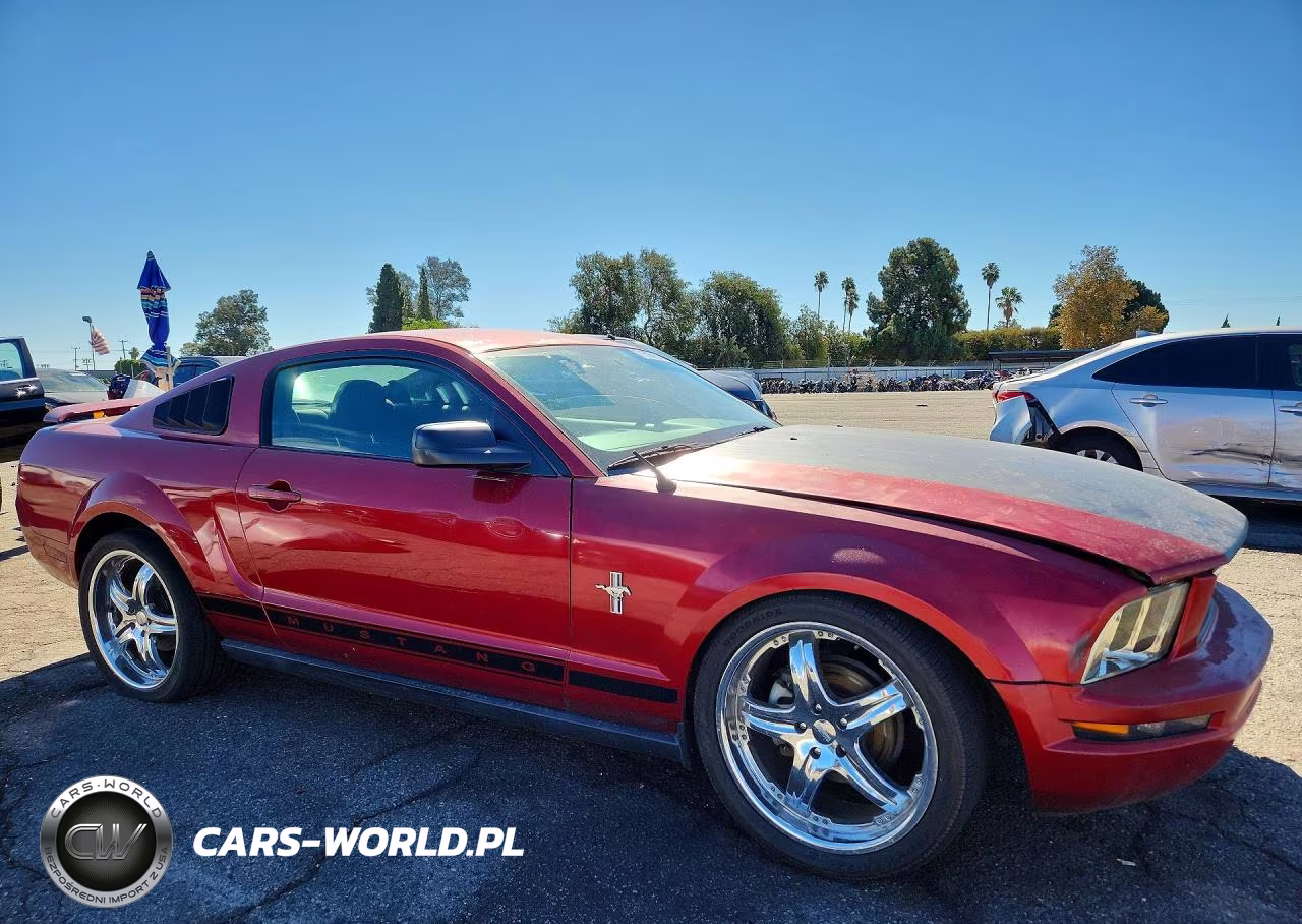 2006 Ford Mustang VIN:1ZVFT80N965176646 - 4