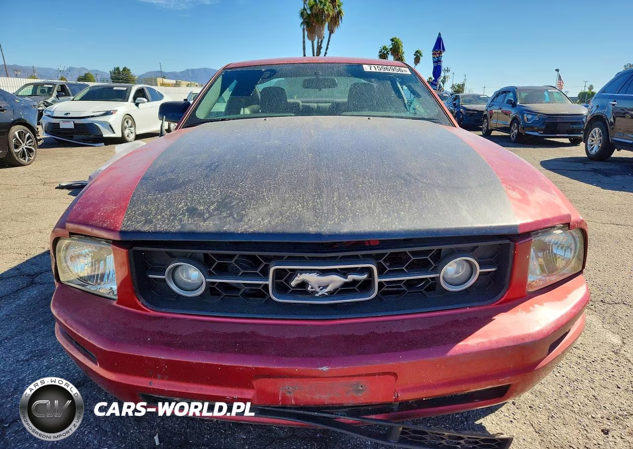 2006 Ford Mustang VIN:1ZVFT80N965176646 - 5
