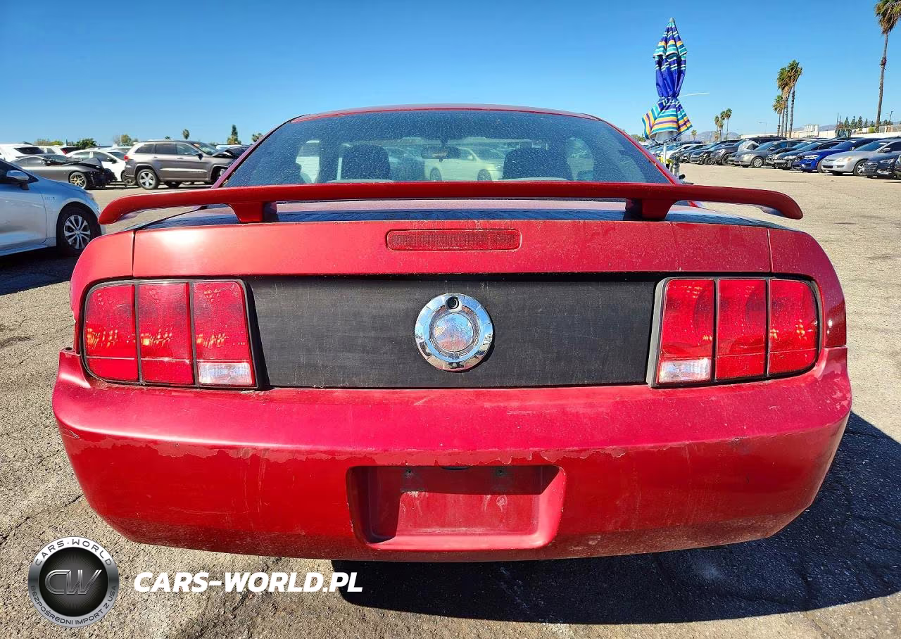 2006 Ford Mustang VIN:1ZVFT80N965176646 - 6