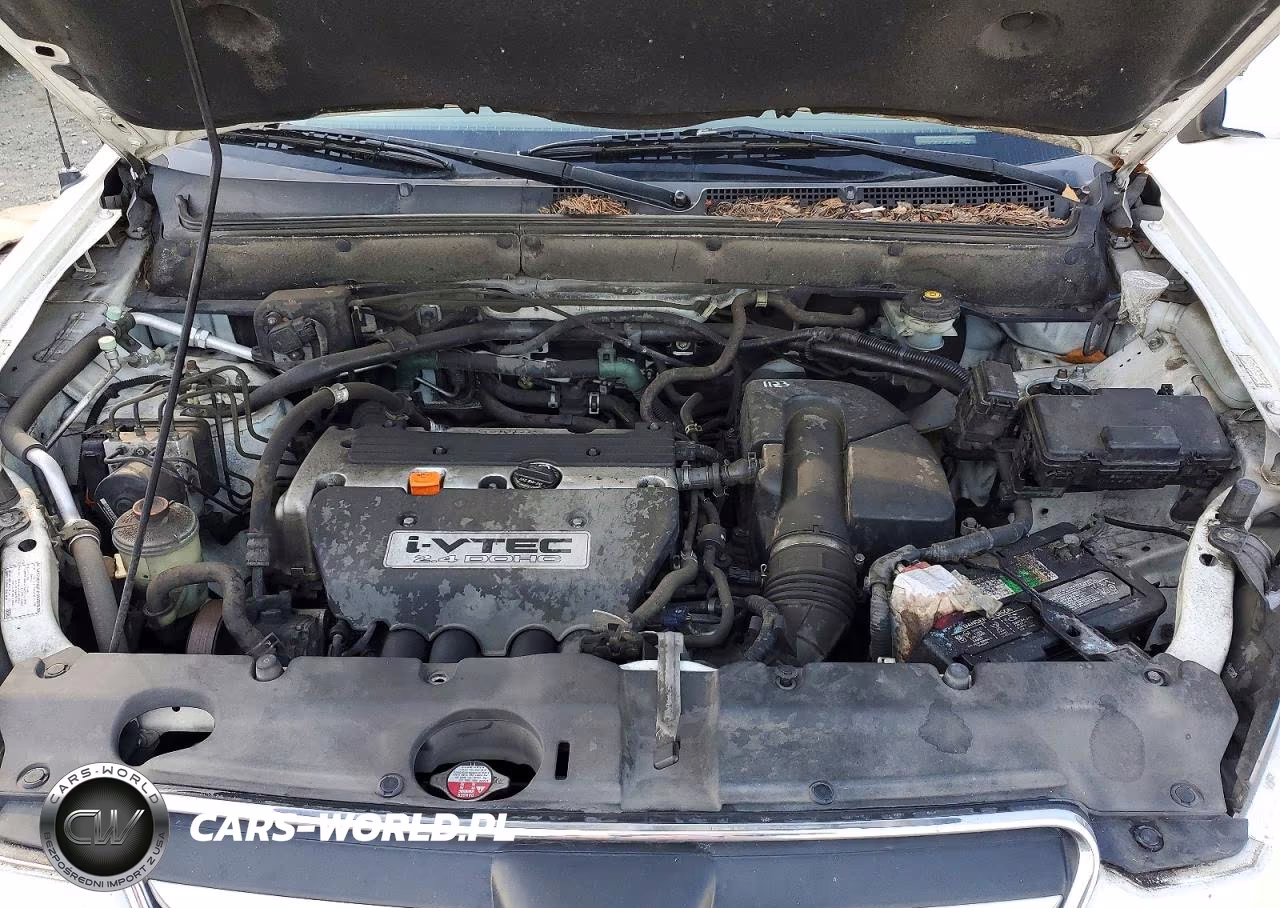2006 Honda Cr-V Se VIN:JHLRD789X6C045562 - 12