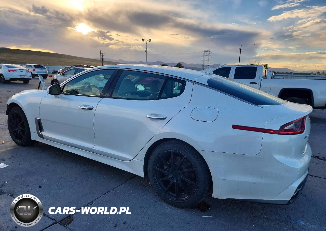 2019 Kia Stinger Base VIN:KNAE15LA4K6055018 - 2