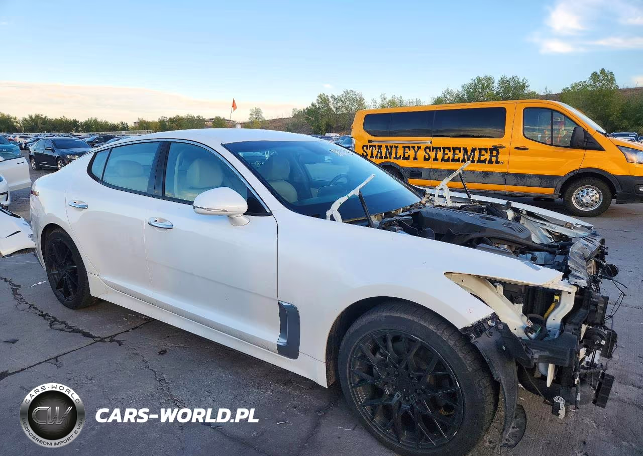 2019 Kia Stinger Base VIN:KNAE15LA4K6055018 - 4