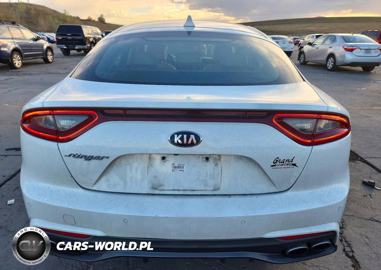 2019 Kia Stinger Base VIN:KNAE15LA4K6055018 - 6