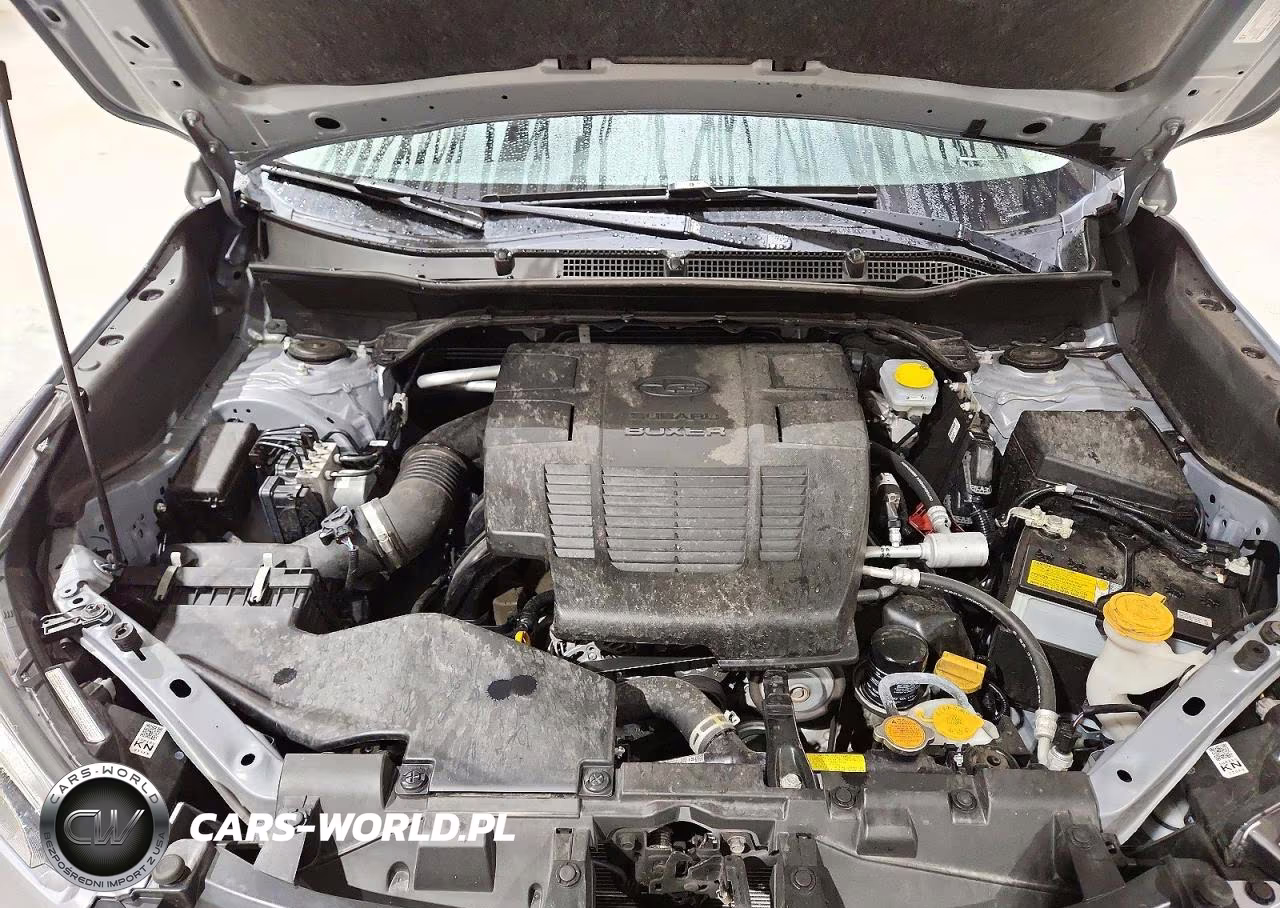2023 Subaru Forester Touring VIN:JF2SKARC6PH494111 - 11