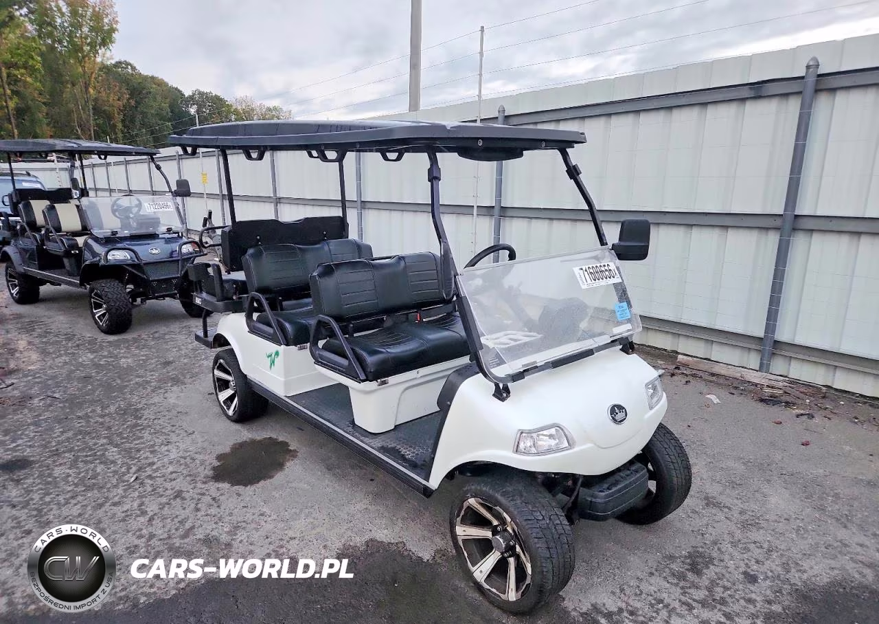 2023 Evolution Golf Cart – zdjęcie 1 z 10