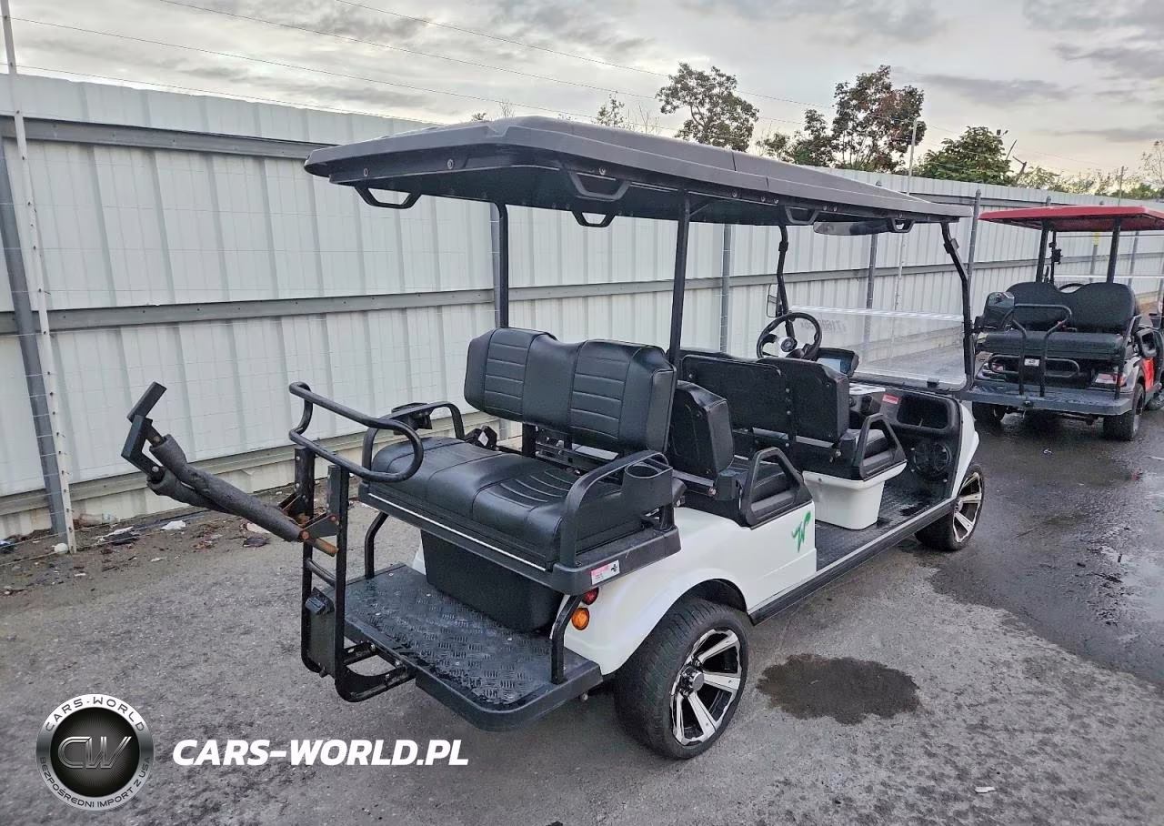 2023 Evolution Golf Cart VIN:7MZL40825PC000862 - 4