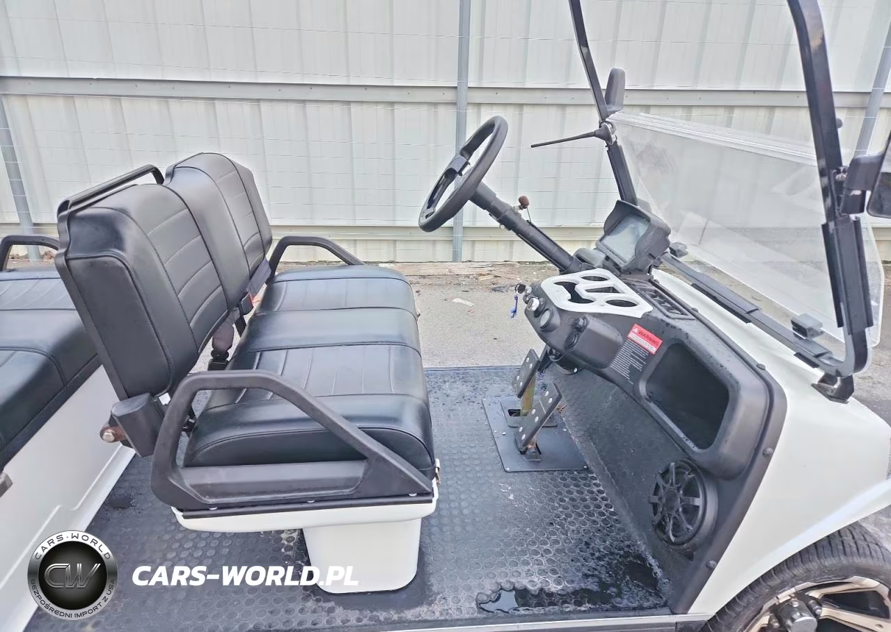 2023 Evolution Golf Cart VIN:7MZL40825PC000862 - 5