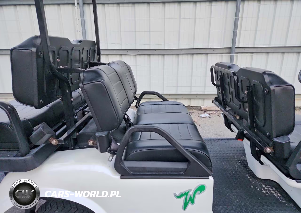 2023 Evolution Golf Cart VIN:7MZL40825PC000862 - 6