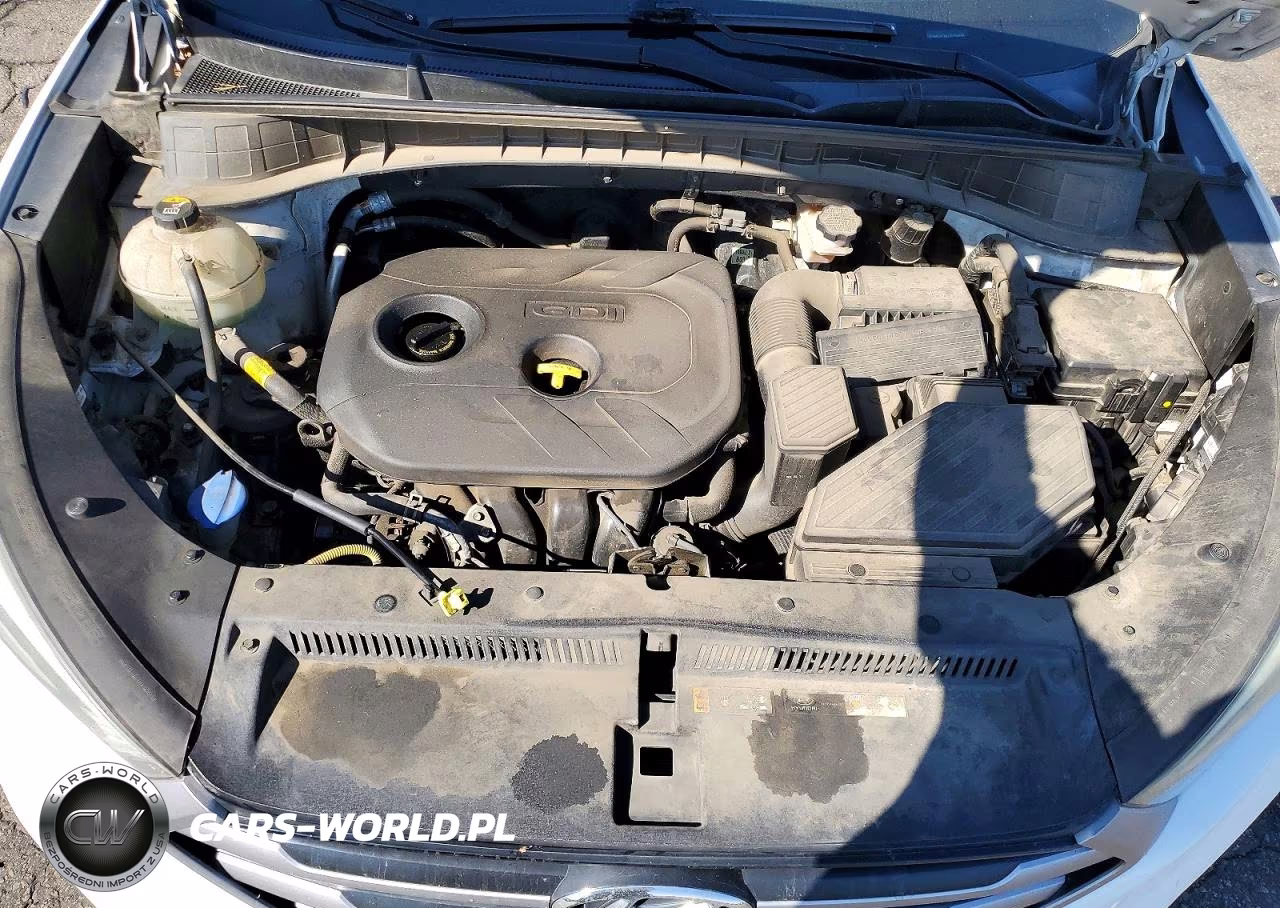 2018 Hyundai Tucson Sel VIN:KM8J3CA42JU728035 - 11
