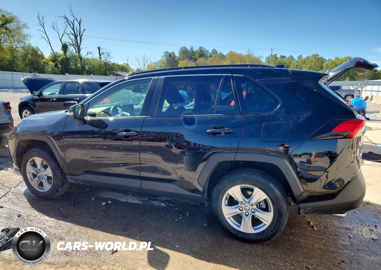 2023 Toyota Rav4 Xle VIN:JTMP1RFV5PD095497 - 2