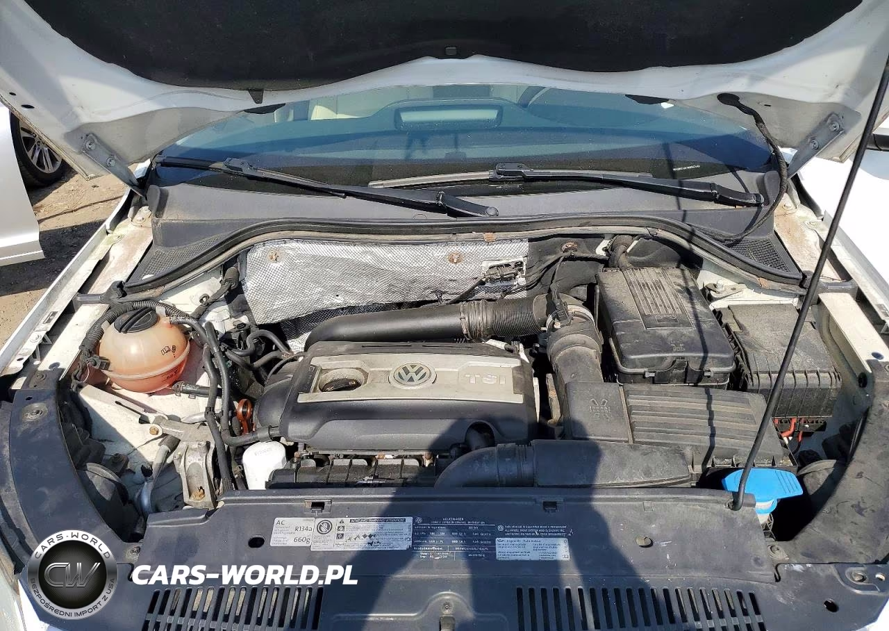 2011 Volkswagen Tiguan S VIN:WVGBV7AX1BW557462 - 11