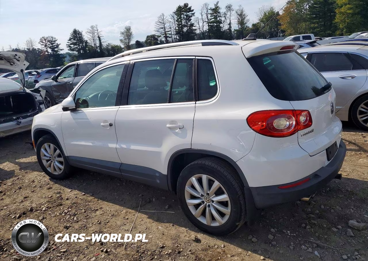 2011 Volkswagen Tiguan S VIN:WVGBV7AX1BW557462 - 2