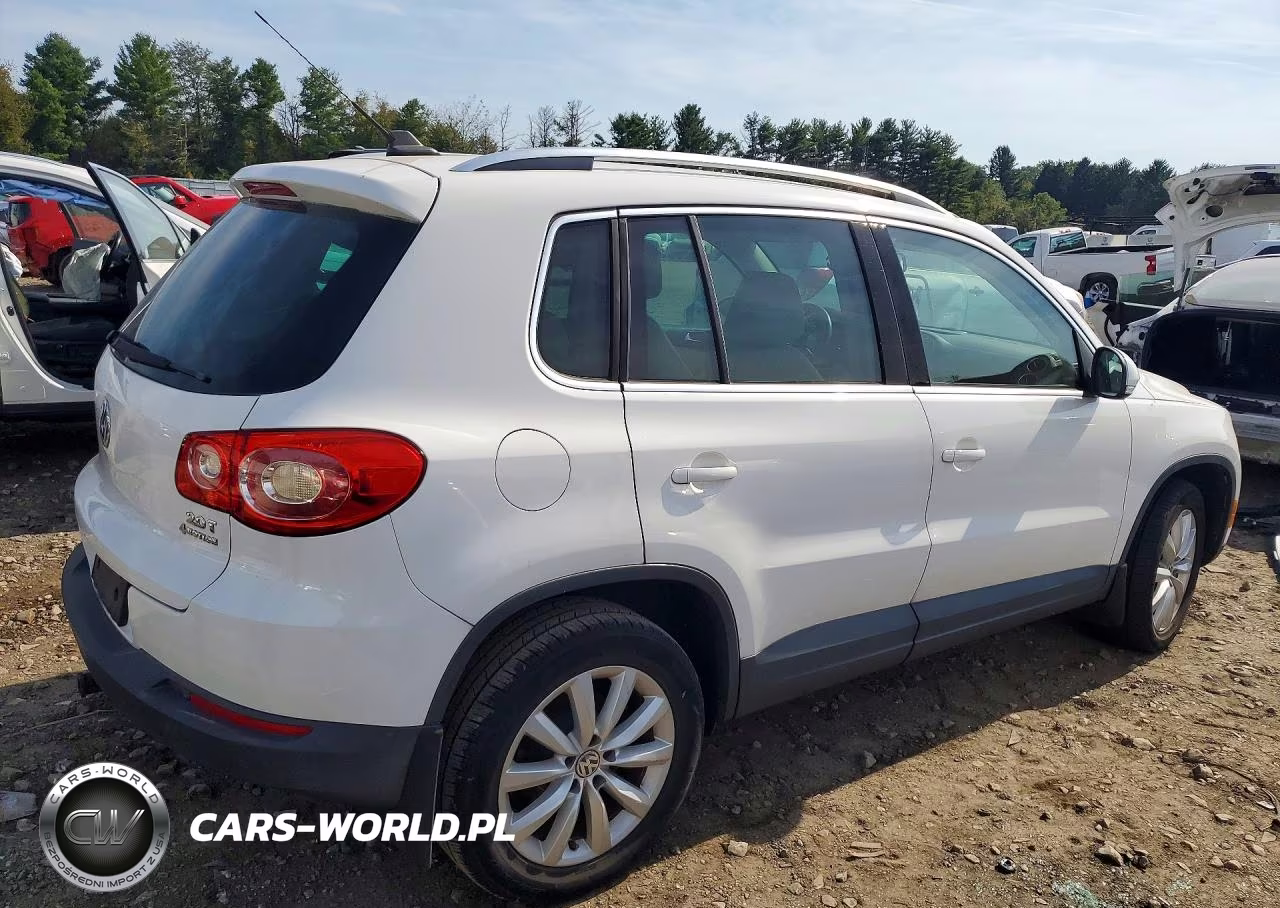 2011 Volkswagen Tiguan S VIN:WVGBV7AX1BW557462 - 3