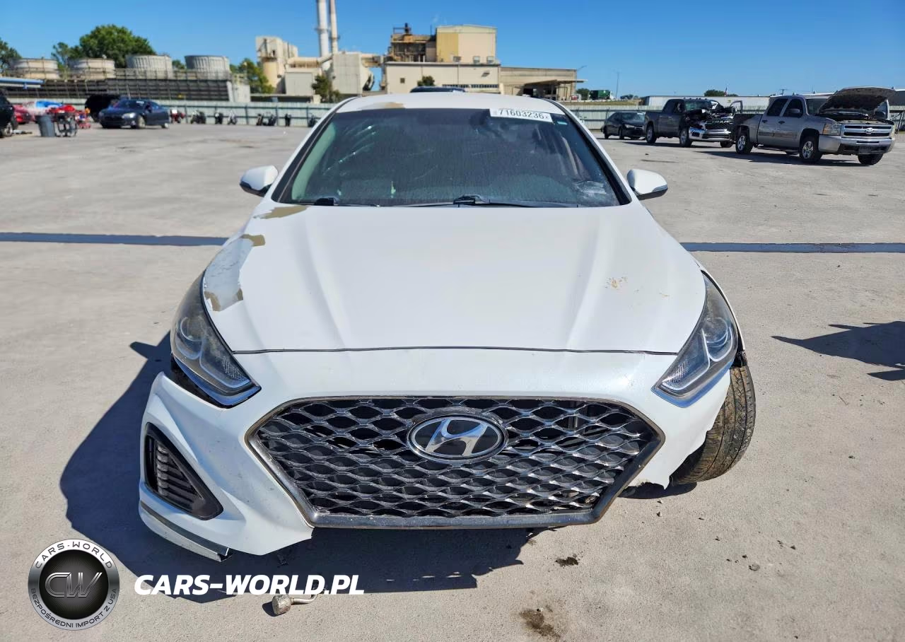 2019 Hyundai Sonata Sel VIN:5NPE34AF6KH750287 - 5