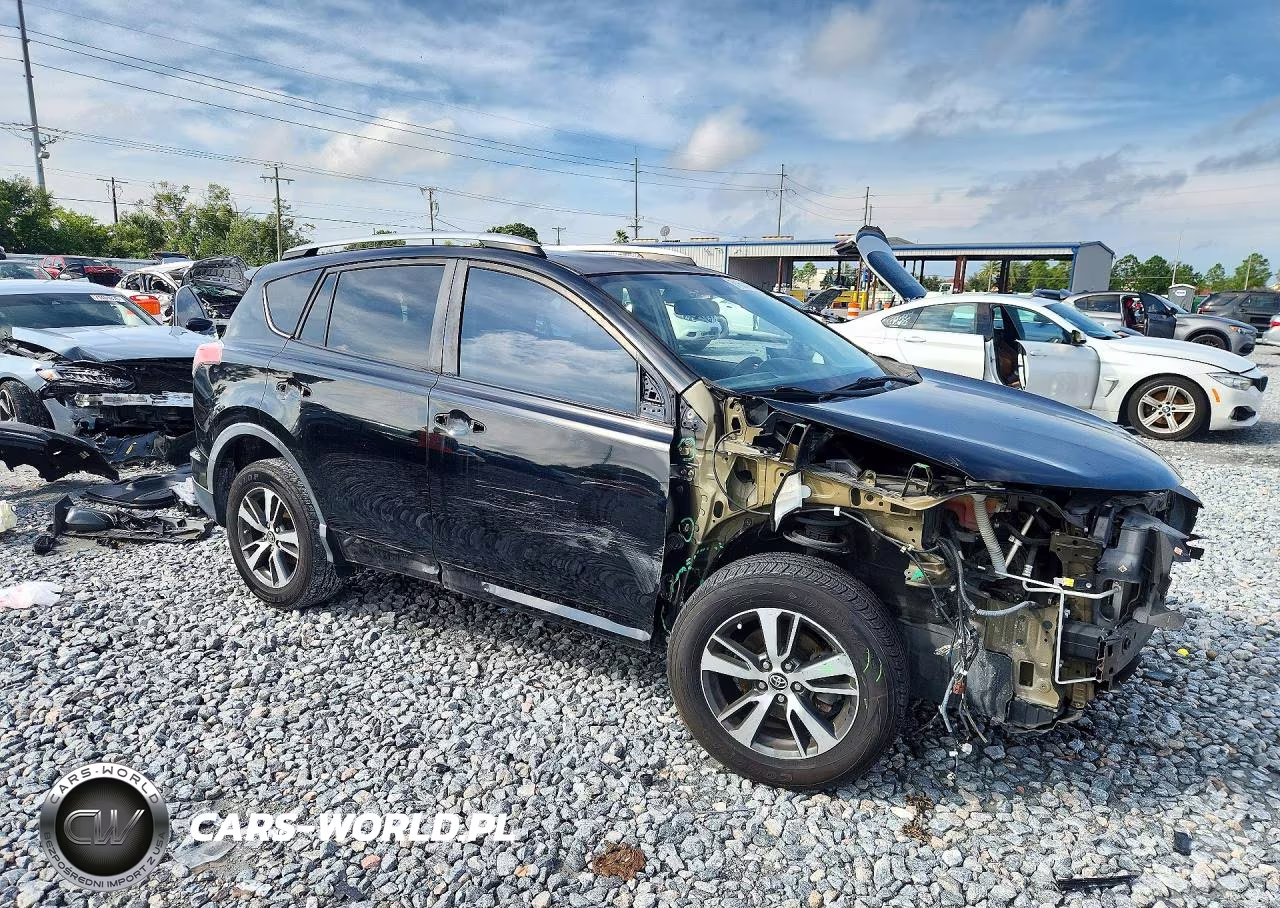 2016 Toyota Rav4 Xle VIN:2T3WFREV7GW255087 - 4