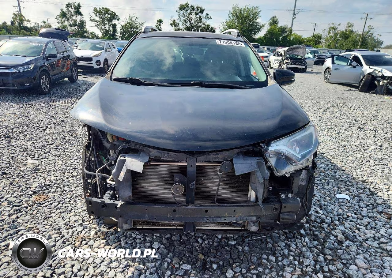 2016 Toyota Rav4 Xle VIN:2T3WFREV7GW255087 - 5