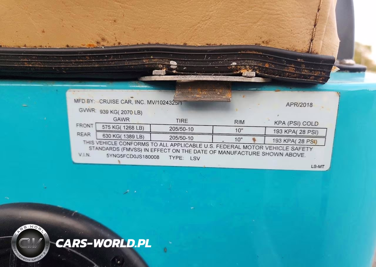 2018 Cruise Car Lsv Golf Cart VIN:5YNG5FCD0JS180008 - 10