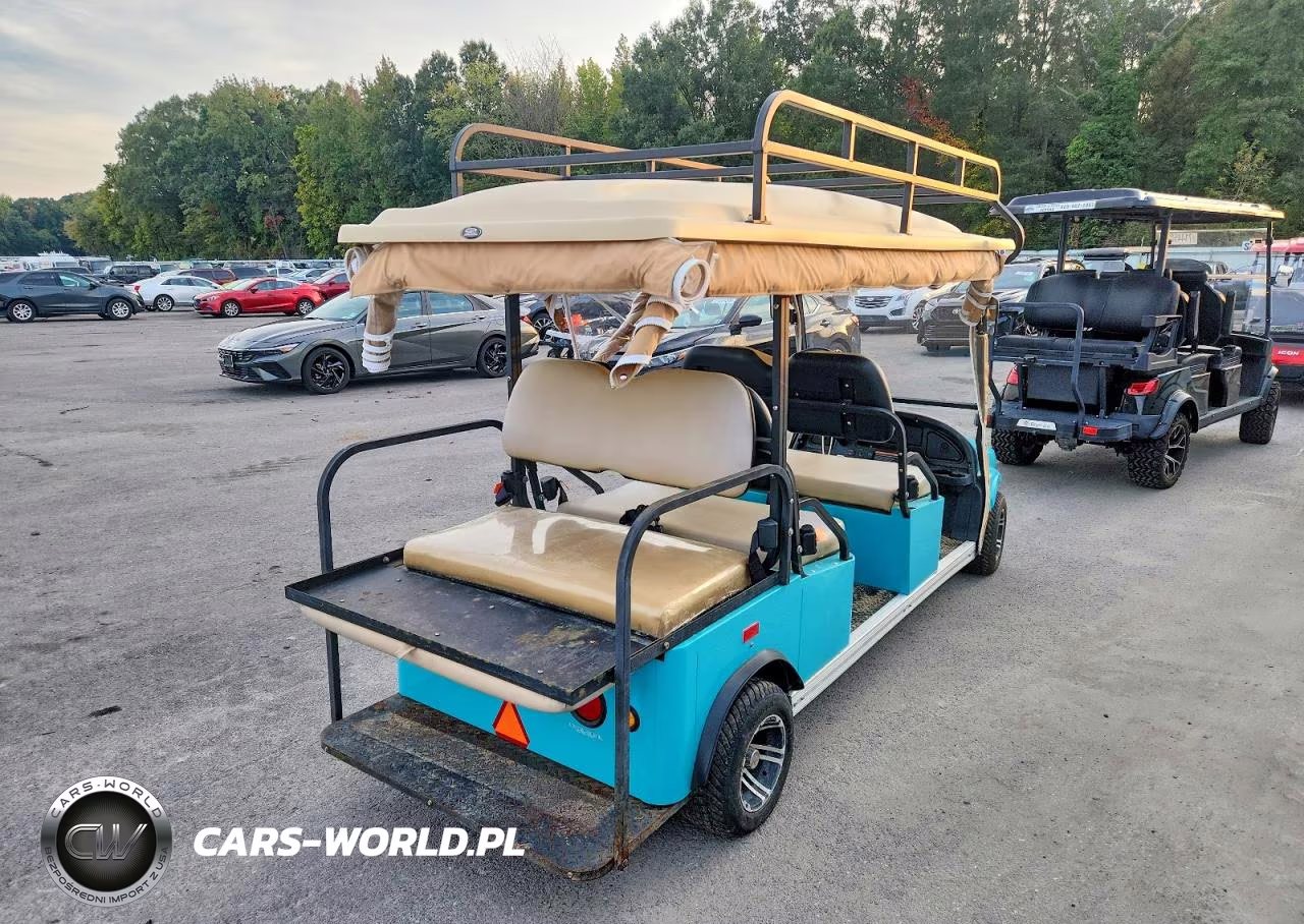 2018 Cruise Car Lsv Golf Cart VIN:5YNG5FCD0JS180008 - 4