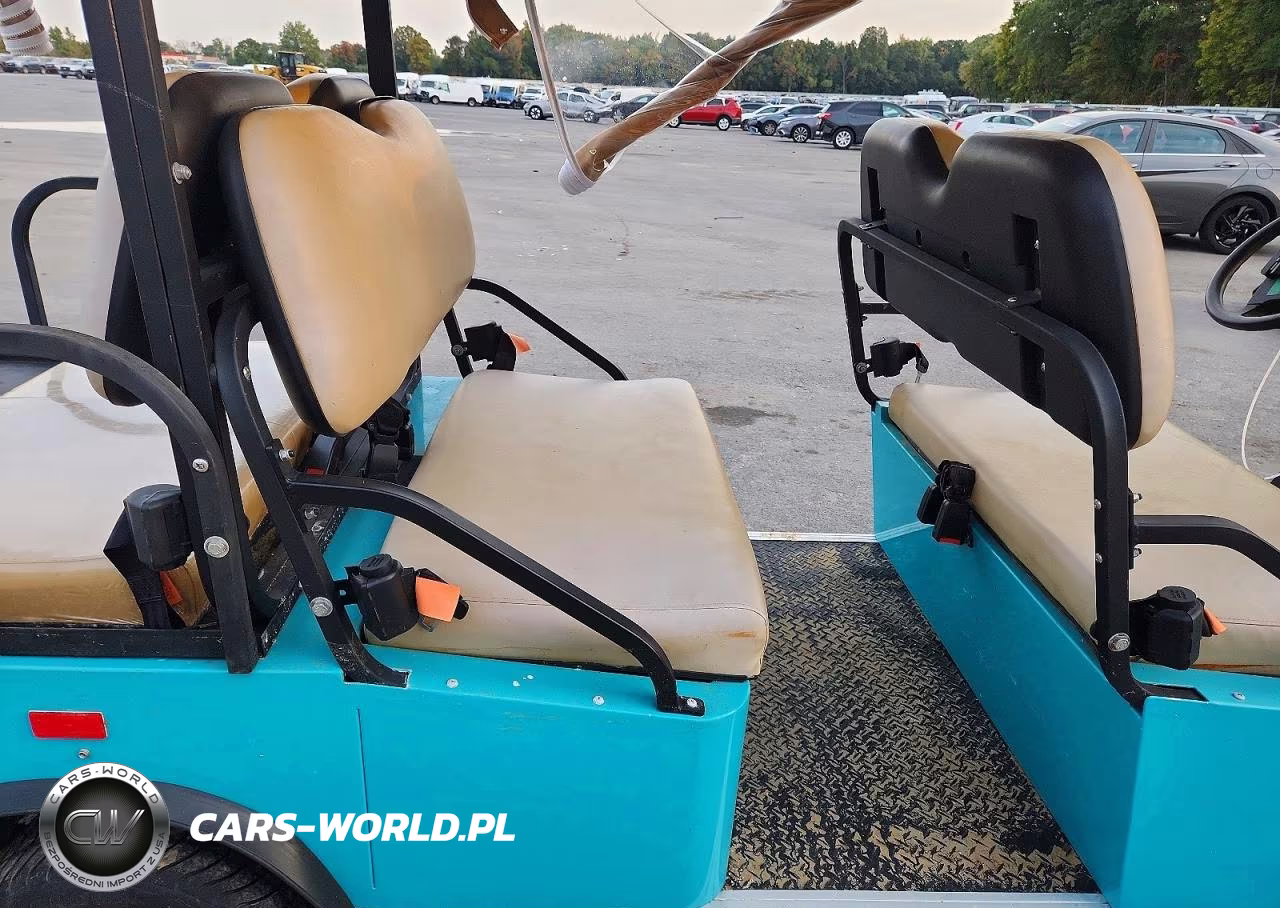 2018 Cruise Car Lsv Golf Cart VIN:5YNG5FCD0JS180008 - 6