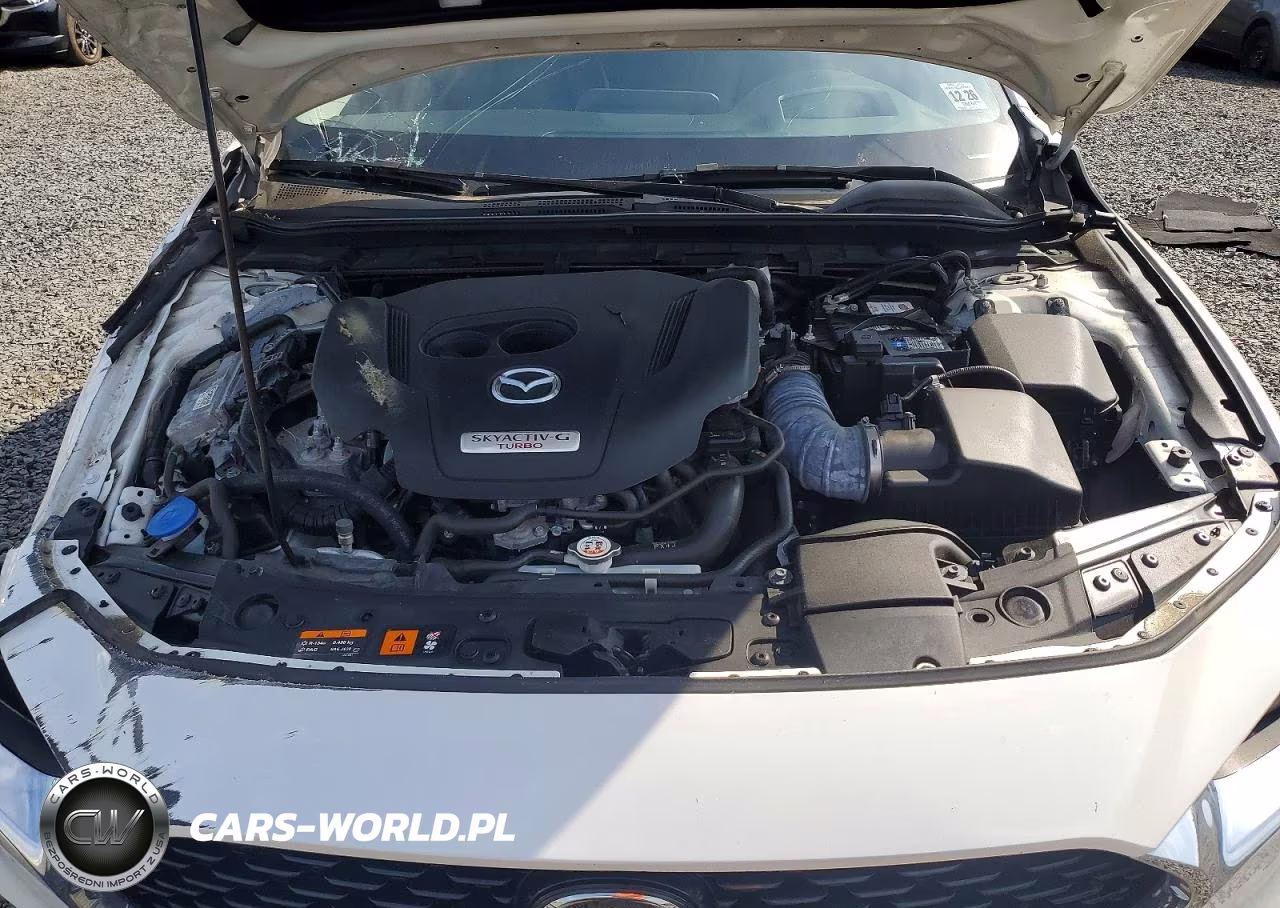 2021 Mazda 3 Premium Plus VIN:3MZBPBEY2MM214924 - 11