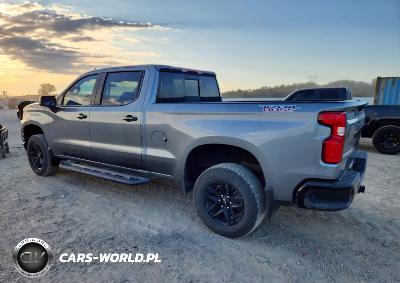 2019 Chevrolet Silverado K1500 Lt Trail Boss VIN:3GCPYFED3KG256153 - 2