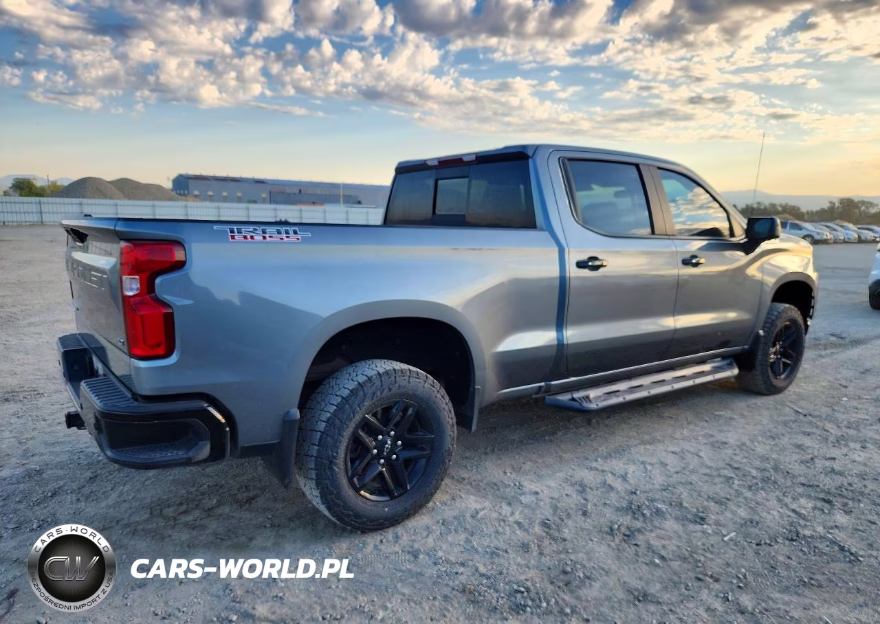 2019 Chevrolet Silverado K1500 Lt Trail Boss VIN:3GCPYFED3KG256153 - 3