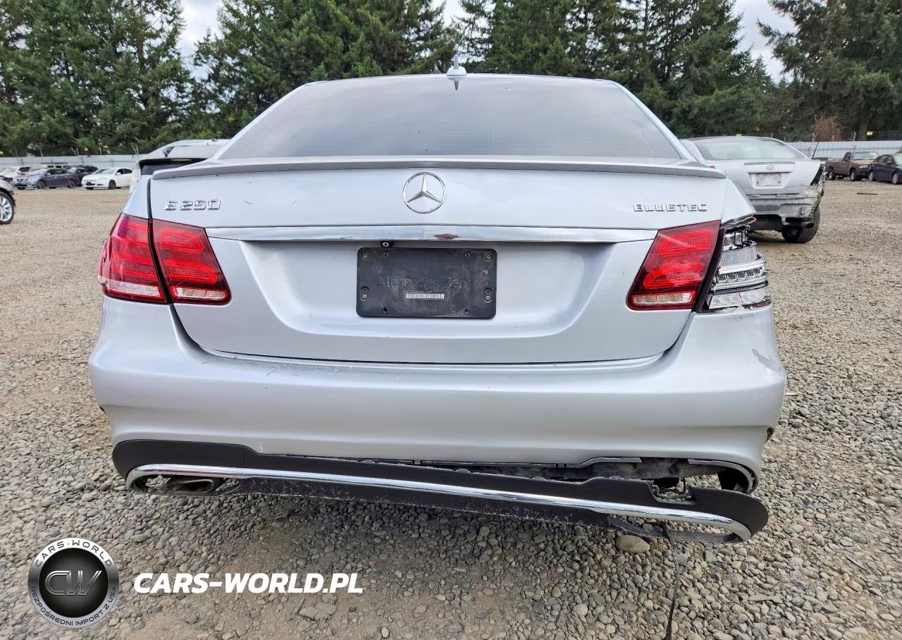2016 Mercedes-Benz E 250 Bluetec VIN:WDDHF0EB2GB211877 - 6