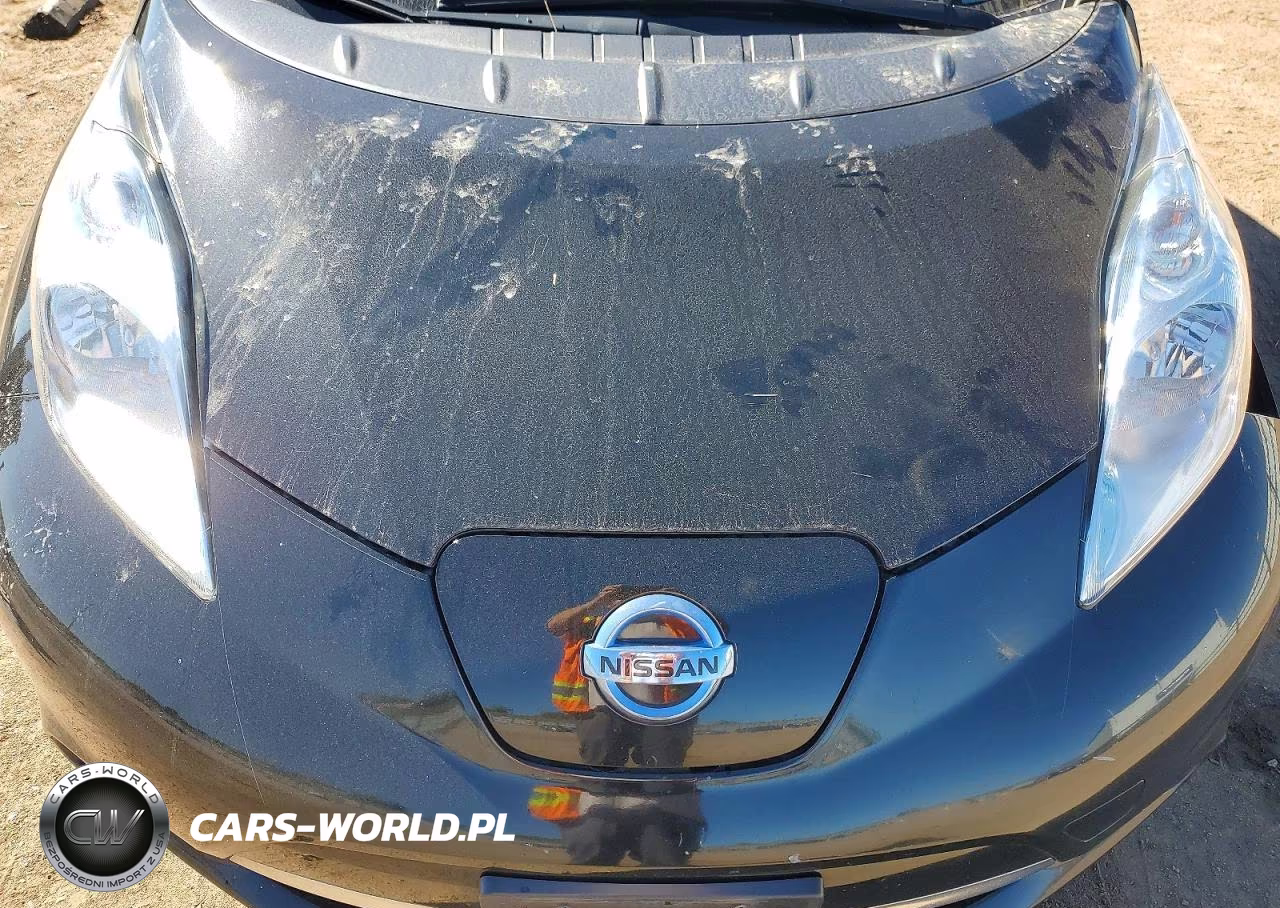 2017 Nissan Leaf Sv VIN:1N4BZ0CP3HC303121 - 11