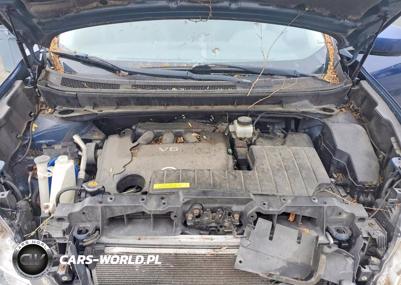 2009 Nissan Murano S VIN:JN8AZ18W29W133883 - 12