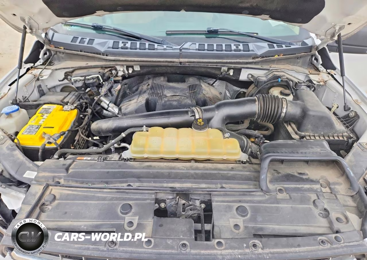 2019 Ford F150 Supercrew VIN:1FTEW1E47KKE77294 - 11