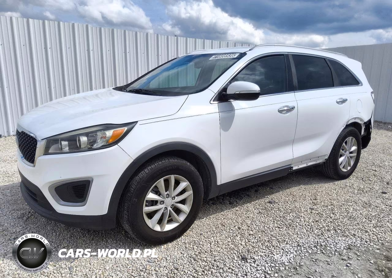 2017 Kia Sorento Lx VIN:5XYPG4A32HG284196 - 1