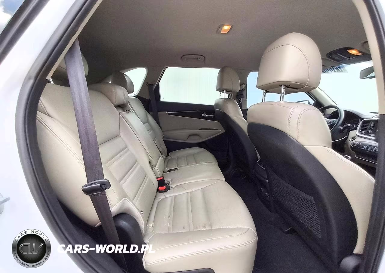 2017 Kia Sorento Lx VIN:5XYPG4A32HG284196 - 11